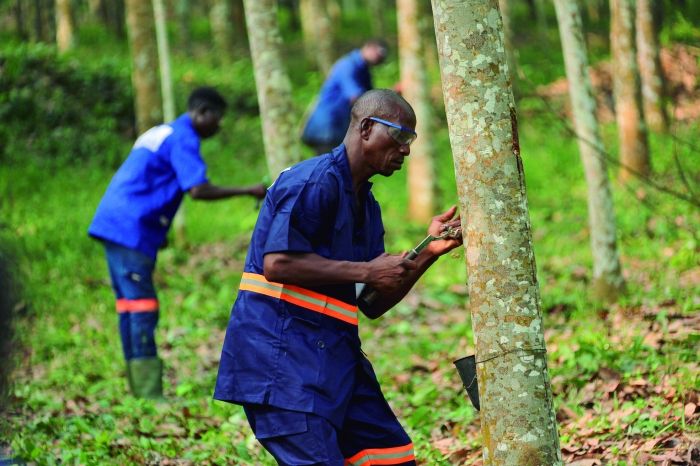 1700639309407826.jpg 6.jpg