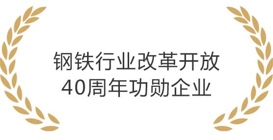 欧美MV日韩MV国产网站